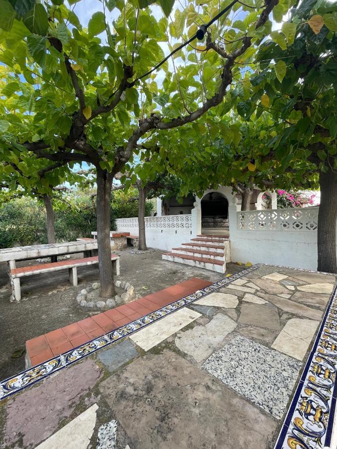 Alpen1 Residencial Finca Del Moro Peñíscola 外观 照片
